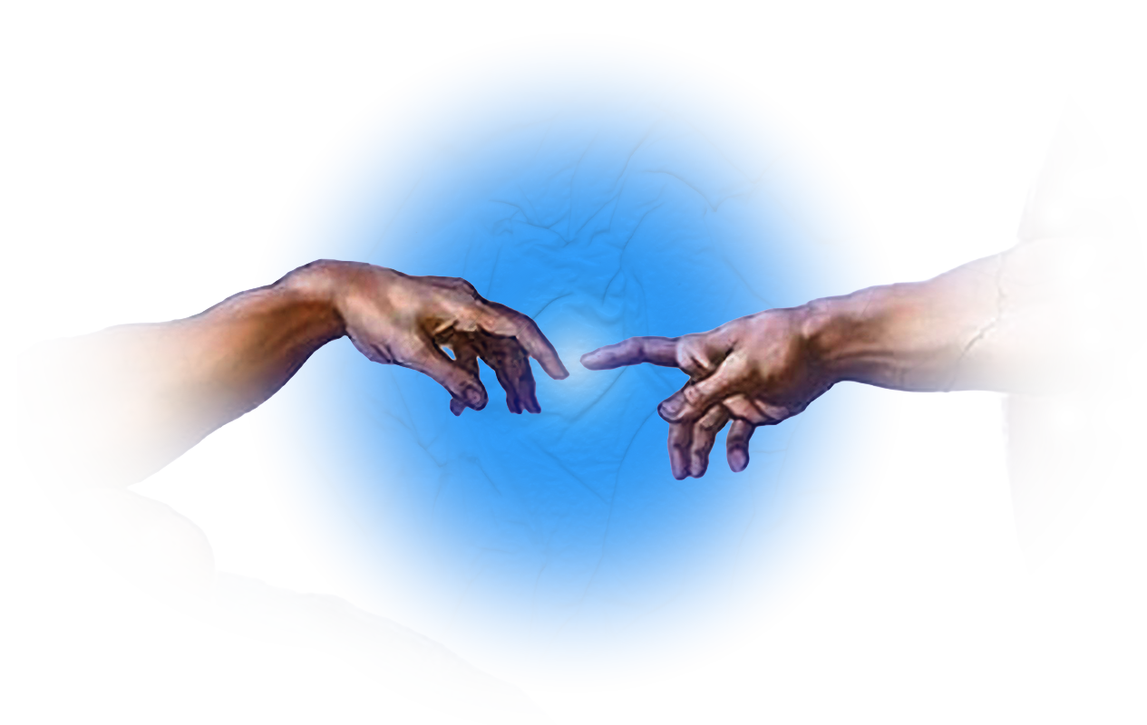 customer-report-brasil-header-img-02