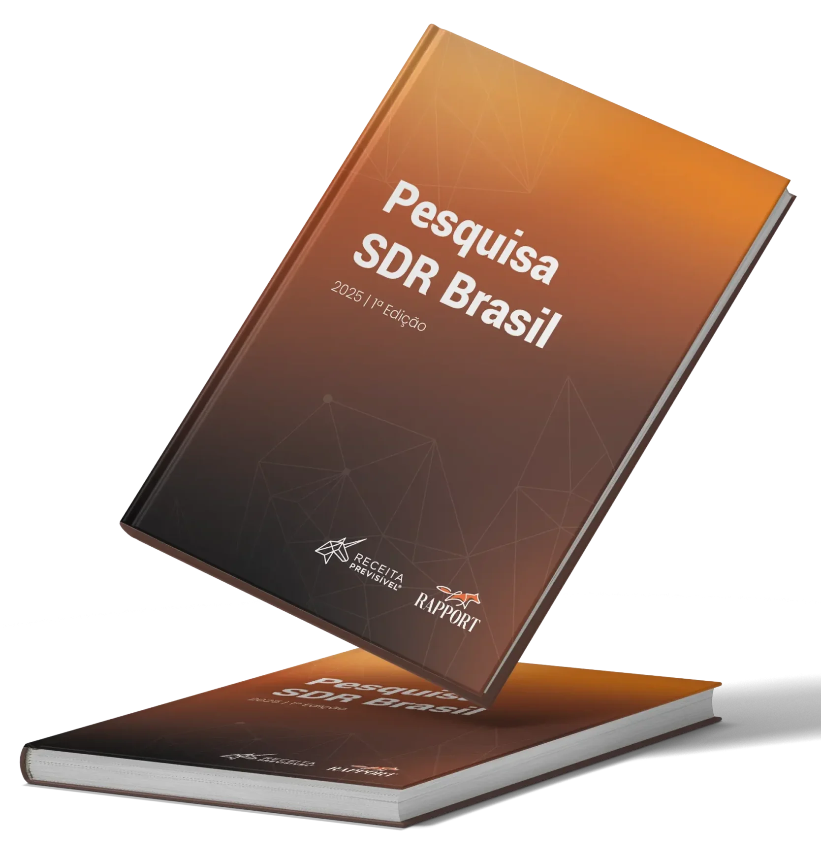 ebook-relatorio-sdr-2025-01